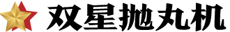 青岛双星机械有限公司
